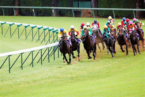 競馬 皐月賞 距離